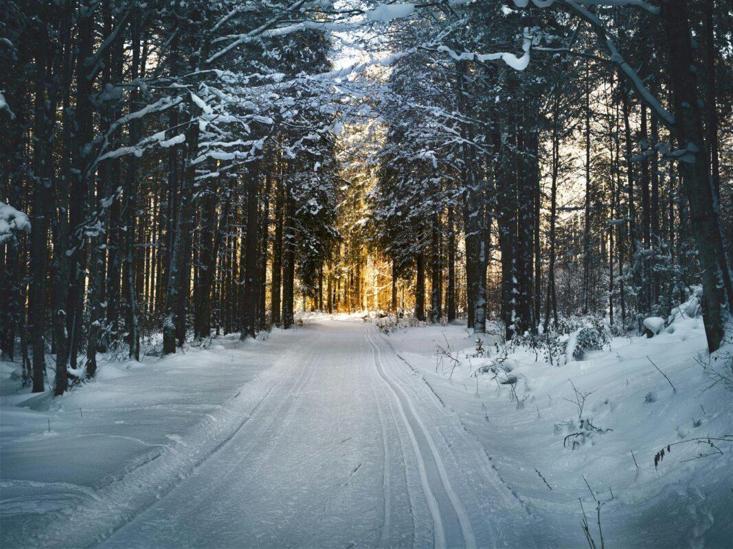 Deep Rest: Low Cost Yoga Retreat with Sauna Rituals, Jan 5 Shambala Admin