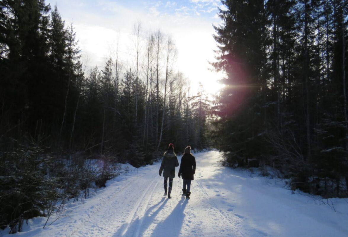 Embracing Winter with Ginger Yoga Shambala Admin