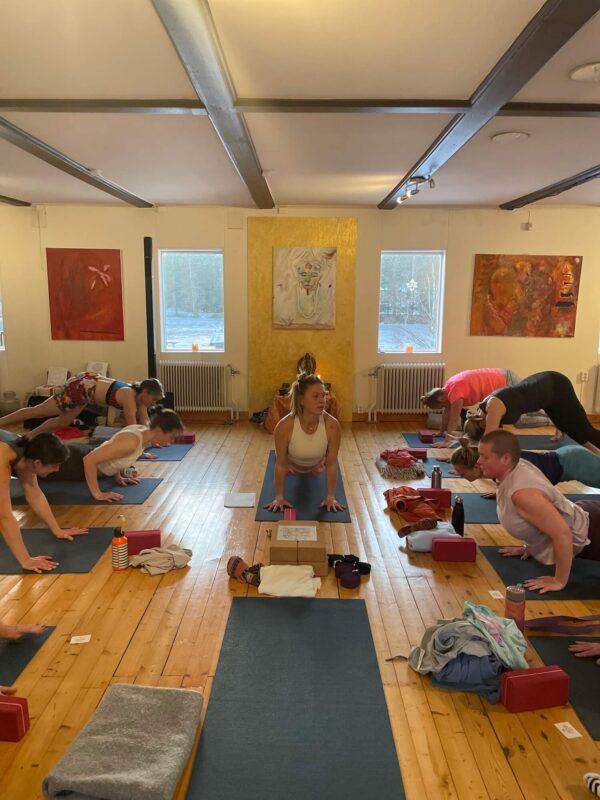 Participants practicing guided yoga during the Wild Winter Retreat at Shambala Gatherings