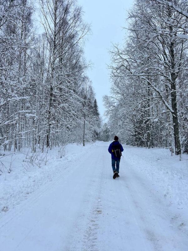 Person walking through a snowy forest trail during the Wild Winter Retreat at Shambala Gatherings