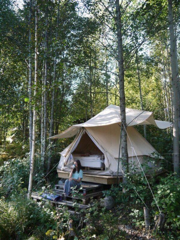 The Place Shambala Admin